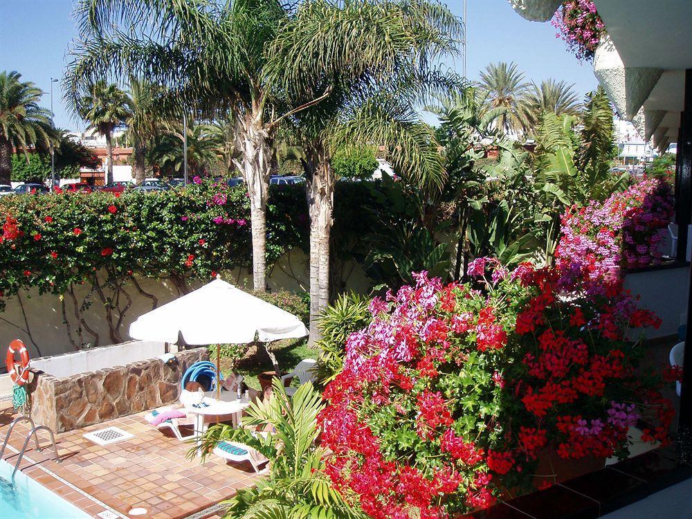 Апартаменты Alsol Nogal (Adults Only) Плайя-дель-Инглес Экстерьер фото